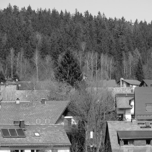 "Hügel" Steinreuth oberhalb von Froschgrün (etwas über 600m)